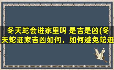 冬天蛇会进家里吗 是吉是凶(冬天蛇进家吉凶如何，如何避免蛇进家，小心防范蛇类靠近)